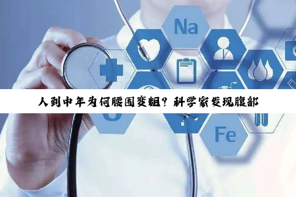 人到中年为何腰围变粗?科学家发现腹部脂肪增加的细胞元凶